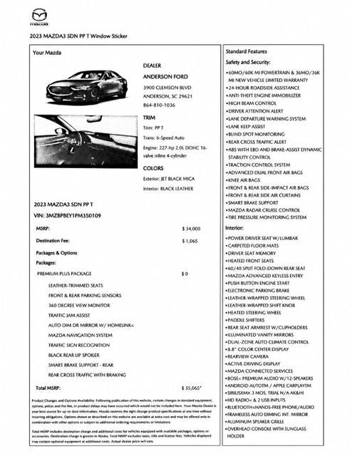 3MZBPBEY1PM350109